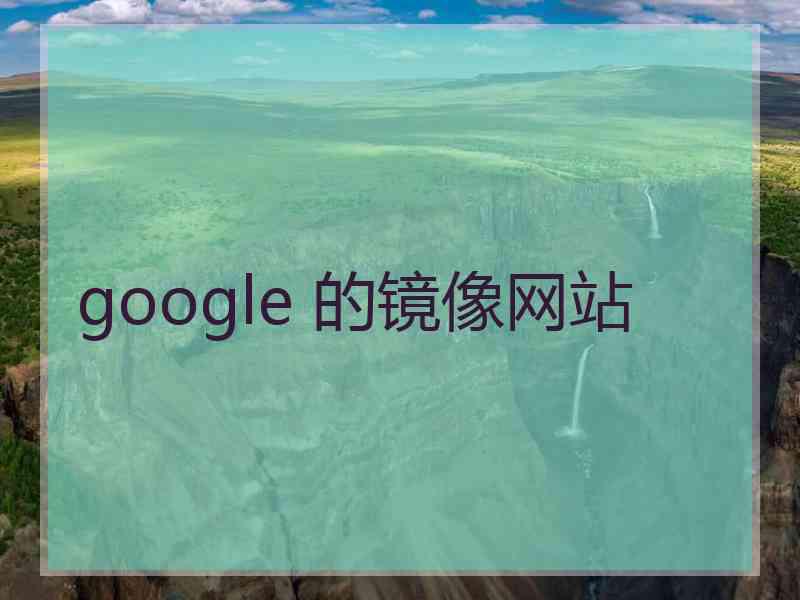 google 的镜像网站